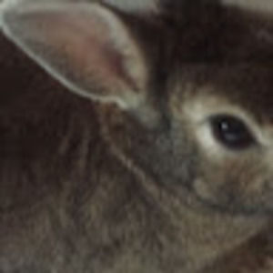 Meet your Posher, Starlene